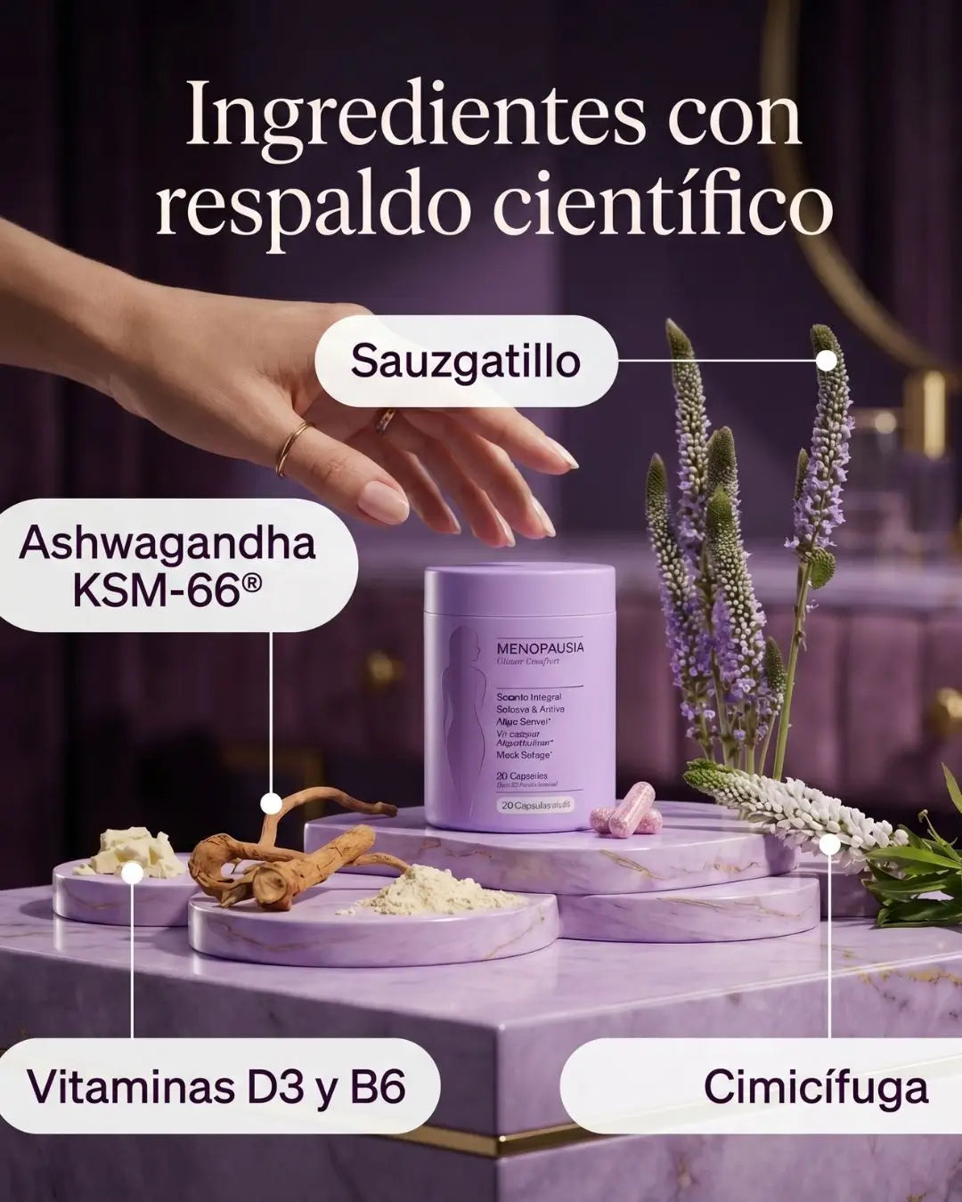 MenoBalance Pro